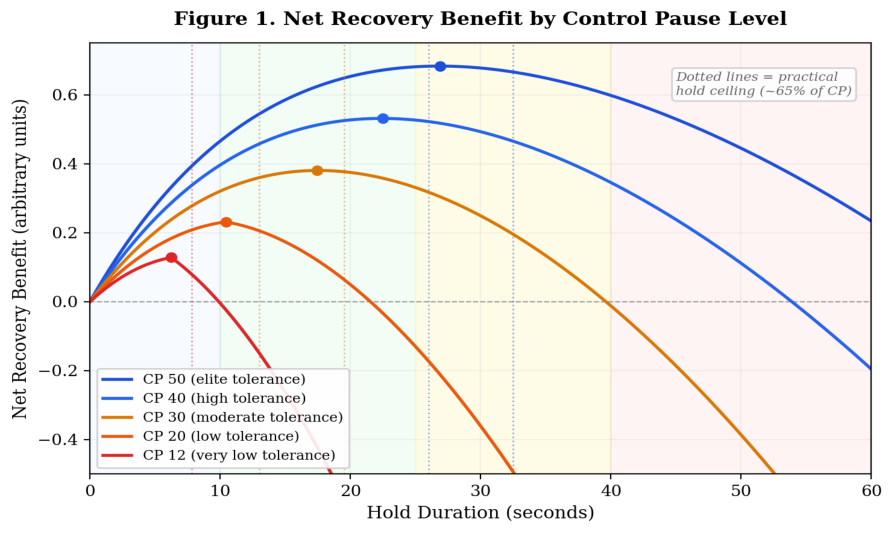 Figure 1. Predicted net recovery benefit as a function of hold duration across five Control Pause levels. Higher CP allows greater CO2 accumulation during holds (tolerance ceiling effect) and correlates with better buffering (slower acidotic penalty). Dots indicate predicted peak benefit; dotted vertical lines indicate the practical hold ceiling (~65% of resting CP post-exertion). A CP 12 athlete peaks at ~6 seconds with minimal benefit; a CP 50 athlete peaks at ~27 seconds with over five times the net benefit. Shaded zones indicate practical implementation categories. All values are theoretical projections requiring empirical calibration.