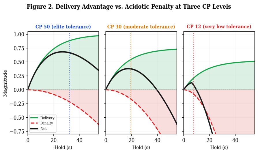 Figure 2. Component breakdown at three CP levels showing how Control Pause affects both sides of the trade-off. The delivery curve (green) is taller for higher-CP athletes because their higher tolerance ceiling allows greater CO2 accumulation during holds. The penalty curve (red dashed) rises more slowly for higher-CP athletes because of correlated buffering capacity. The black line shows the net effect. Dotted vertical lines indicate practical hold ceilings.